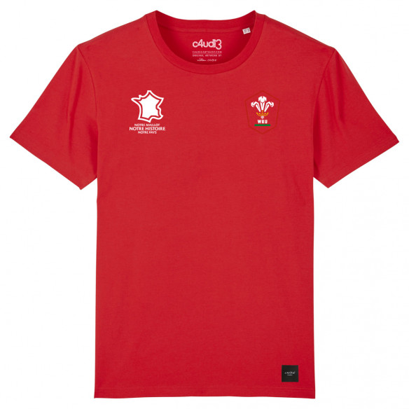 Équipe du Pays de Galles rugby 2025 personnalisable - T-shirt - Rouge - Caudie