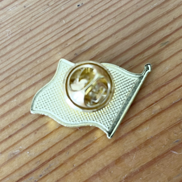 Pin's Palestine Drapeau v1 - Caudie