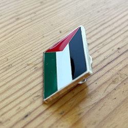 Palestine Rectangle Pin - Caudie 2