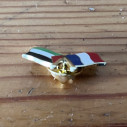 Pin's Flags France Palestine - Caudie