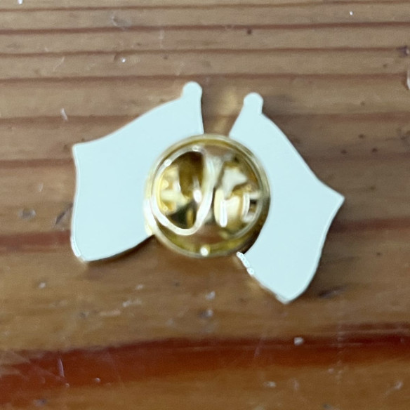Pin's Drapeaux France Palestine - Caudie