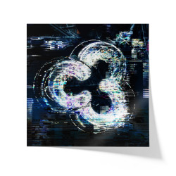 Poster Caudie In The Shell - Caudie