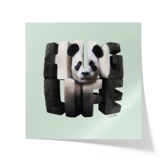Poster Hug Life - Caudie