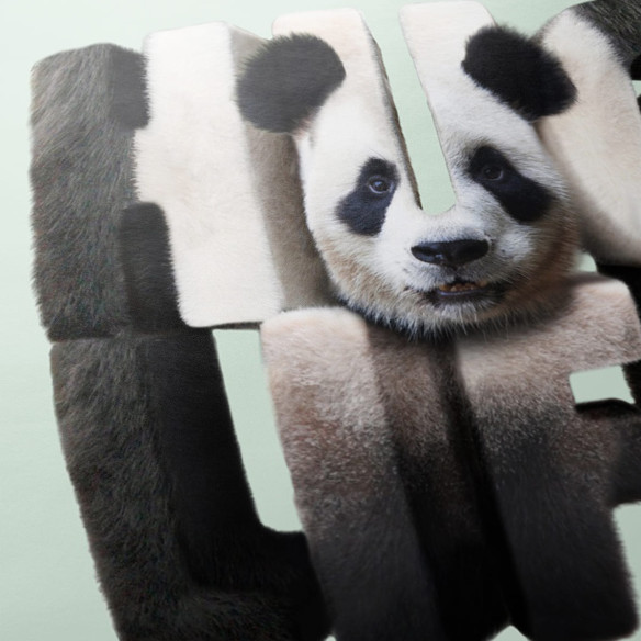 Poster Hug Life - Caudie