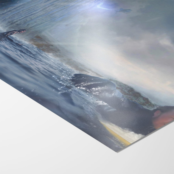 Poster Surf Near The Wall - Caudie
