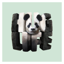 Hug Life - Limited edition art print - Caudie