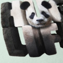 Hug Life - Limited edition art print - Caudie