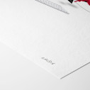 iTiger - Limited edition art print - Caudie