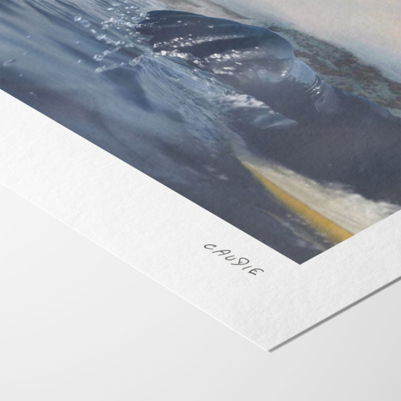 Surf Near The Wall - Limited edition art print - Caudie