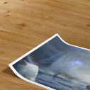 Surf Near The Wall - Open edition art print - Caudie