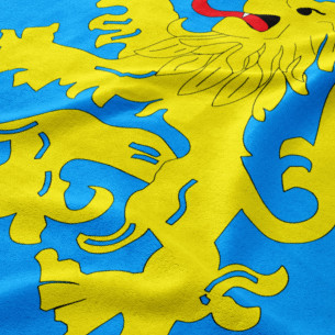 Official Flag Apartment - The Big Bang Theory - Couverture - Caudie 2