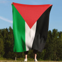 Drapeau Palestine - Couverture - Caudie
