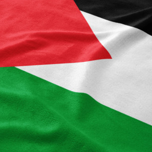 Palestine flag - Blanket - Caudie 2
