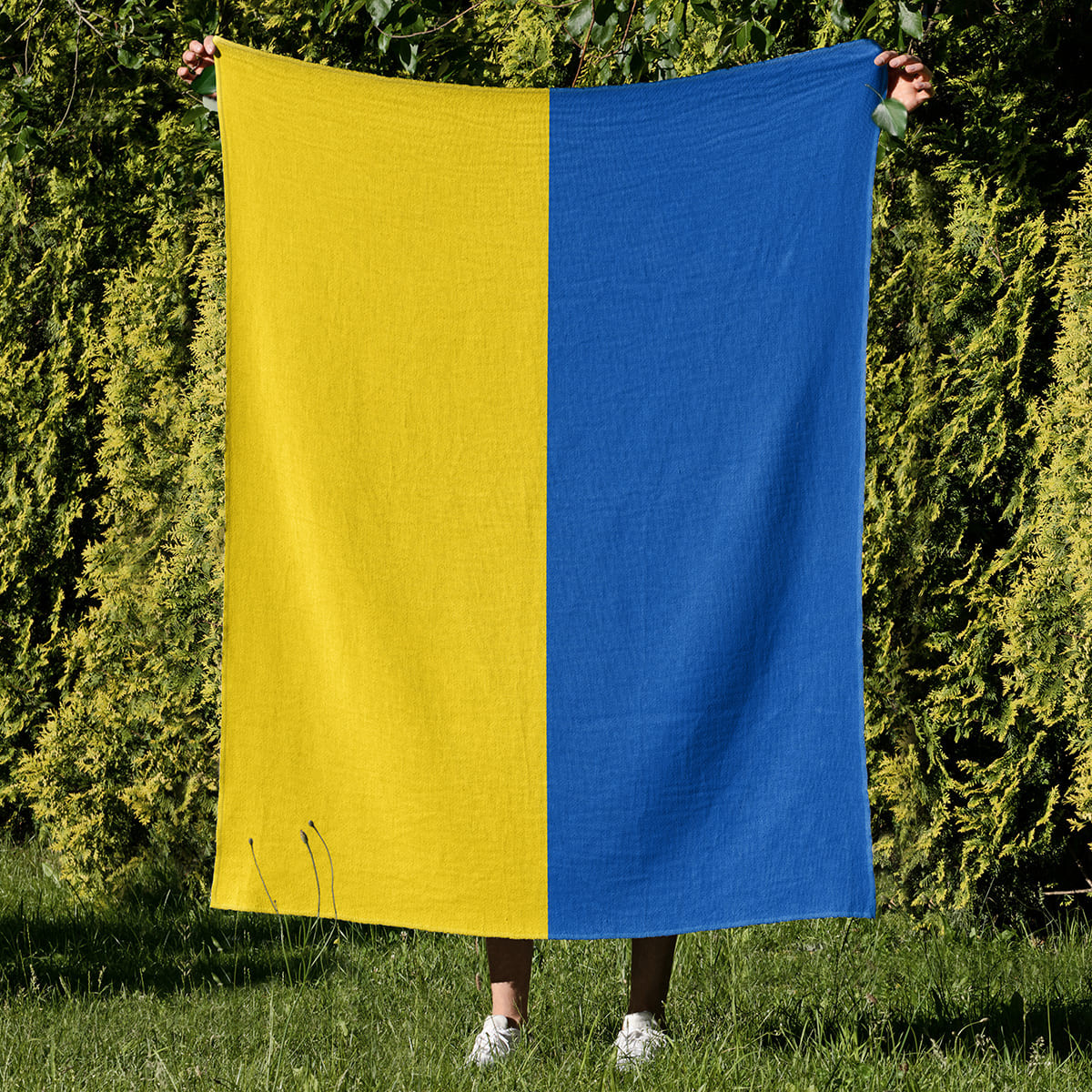 Drapeau Ukraine - Couverture - Caudie