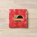 Napkins Belgium soccer team 2026 - Caudie