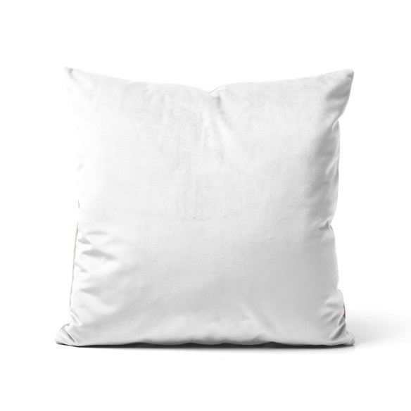Blogueuse - Coussin - Caudie