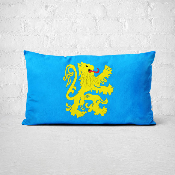 Official Flag Apartment - The Big Bang Theory - Coussin - Caudie