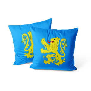 Official Flag Apartment - The Big Bang Theory - Cushion - Caudie
