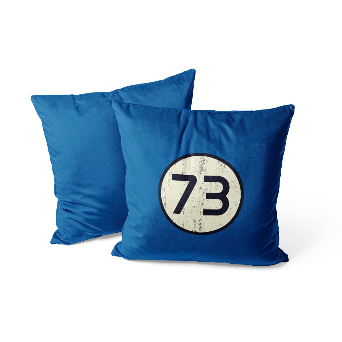 73 - The Big Bang Theory - Coussin - Caudie