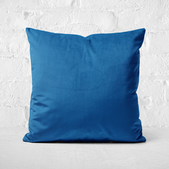 73 - The Big Bang Theory - Coussin - Caudie