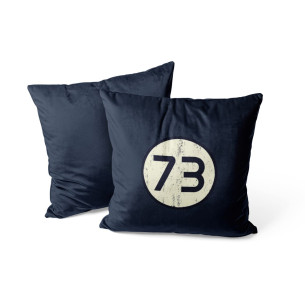 73 - The Big Bang Theory - Coussin - Caudie