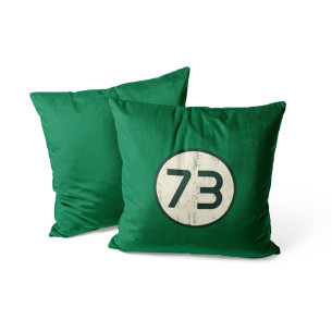 73 - The Big Bang Theory - Cushion - Caudie