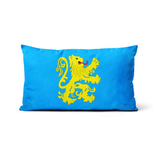 Official Flag Apartment - The Big Bang Theory - Pillowcase - Caudie 2