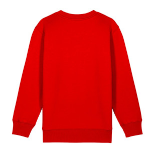 Équipe d'Espagne foot 2 étoiles 2026 - Sweat enfant - Caudie 2