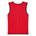 Équipe d'Espagne foot 2 étoiles 2026 - Chasuble - Caudie