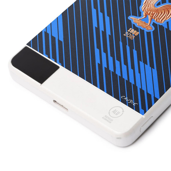 France soccer team 2026 - External battery - Caudie