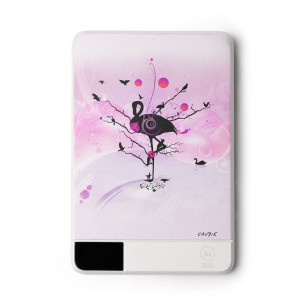 Flamingo - External battery - Caudie
