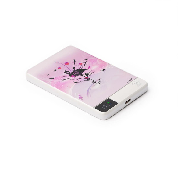 Flamand Rose - Batterie externe - Caudie