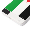 Flag of Palestine - External battery - Caudie