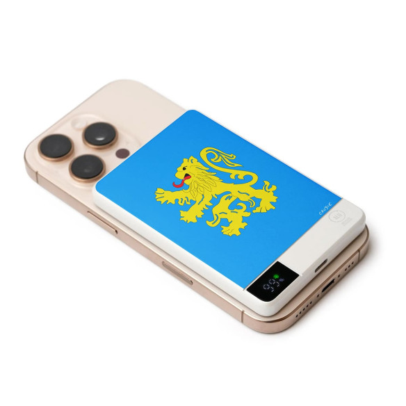 Official Flag Apartment - External battery - The Big Bang Theory - Caudie