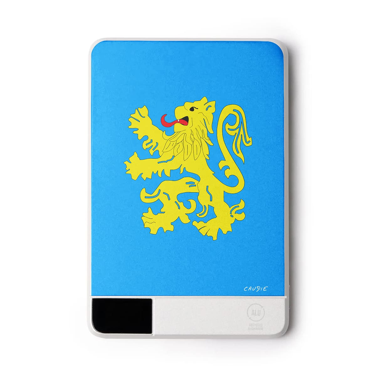 Official Flag Apartment - External battery - The Big Bang Theory - Caudie