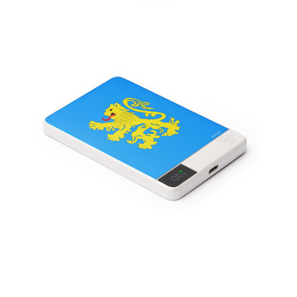 Official Flag Apartment - External battery - The Big Bang Theory - Caudie