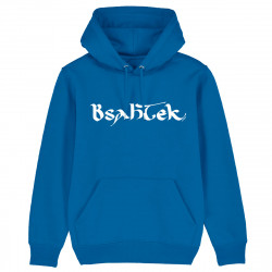 BSAHTEK - Hoodie - Caudie