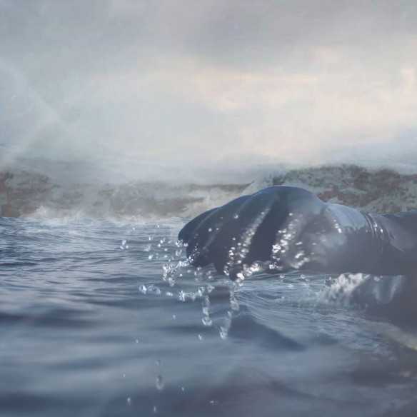 SURFING IN THE NORTH - Men - Caudie