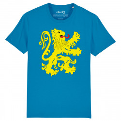 OFFICIAL FLAG APARTMENT - Tee-shirt homme - The Big Bang Theory - Caudie