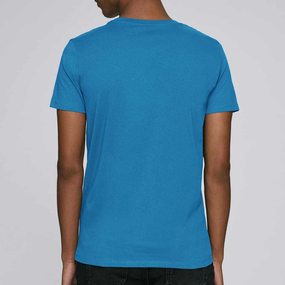 OFFICIAL FLAG APARTMENT - The Big Bang Theory - T-shirt homme - Caudie