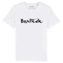 BSAHTEK - T-shirt homme - Caudie